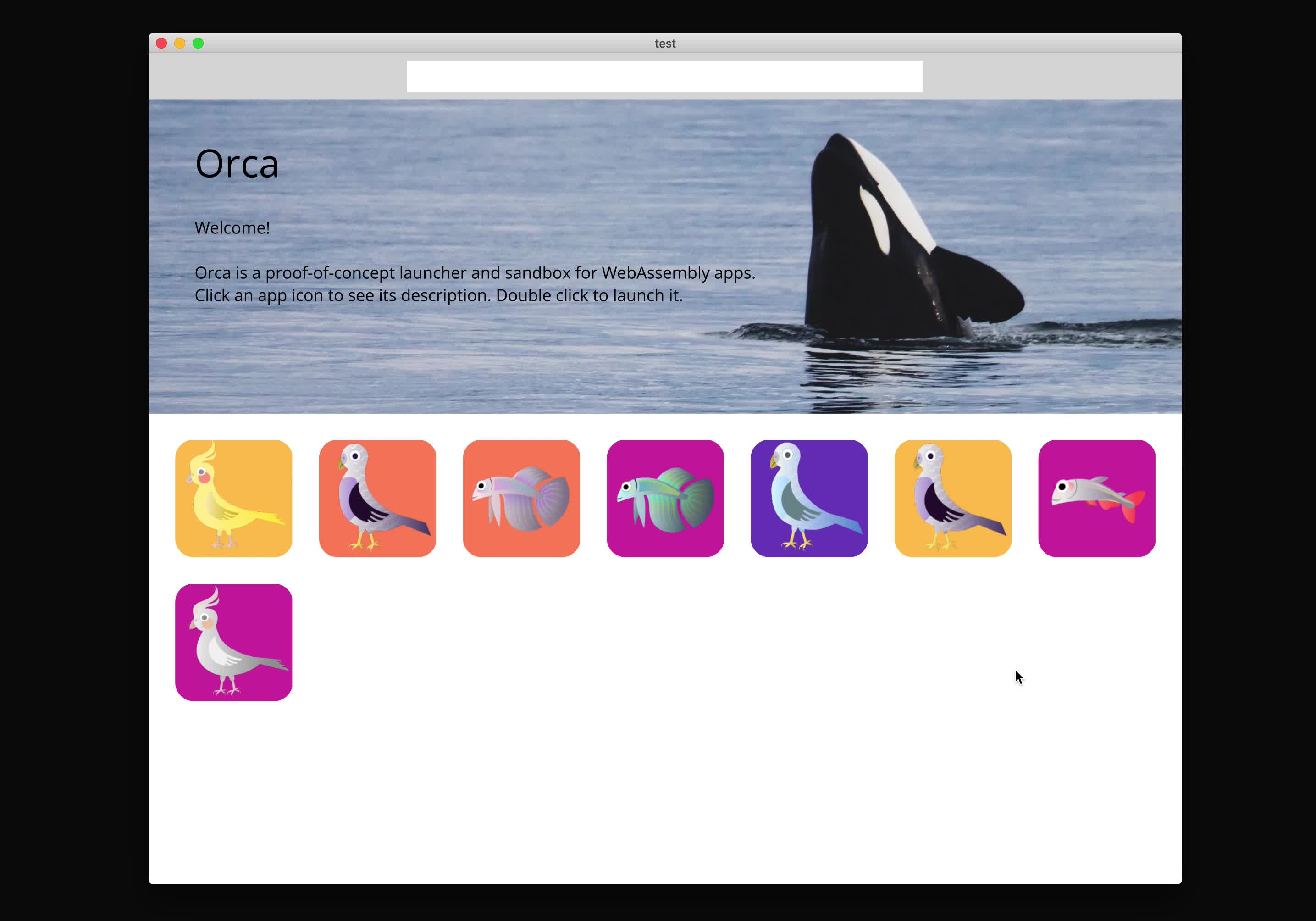 Orca | Handmade Network