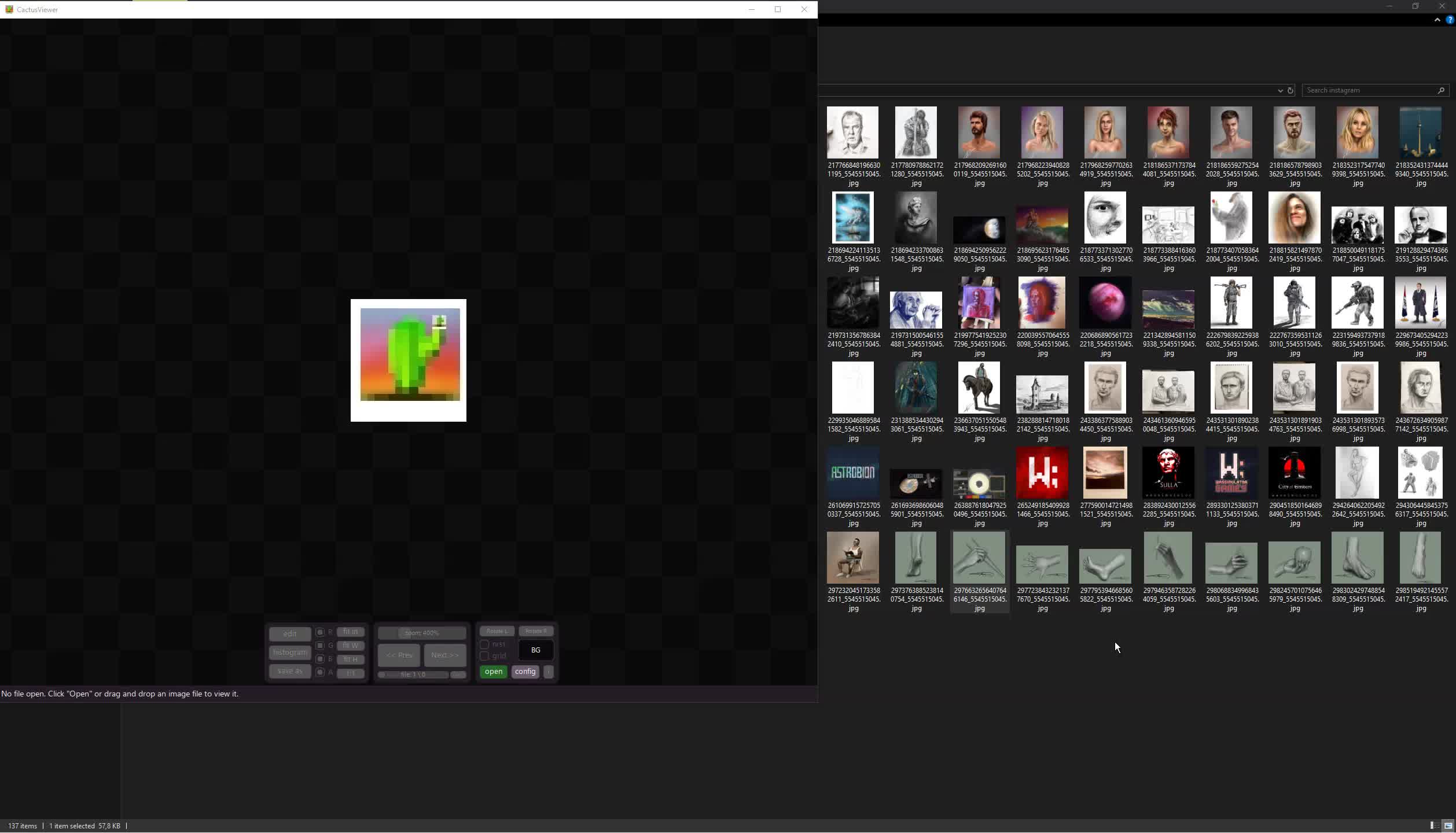 Cactus Image Viewer | Handmade Network